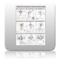 Chart - Strength Training Anatomy - Shoulders